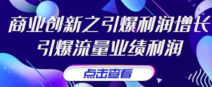 《商业创新之引爆利润增长》引爆流量业绩利润插图