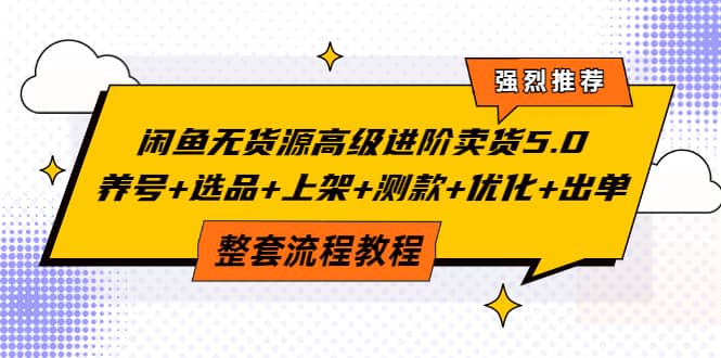 闲鱼无货源高级进阶卖货5.0，养号+选品+上架+测款+优化+出单整套流程教程插图