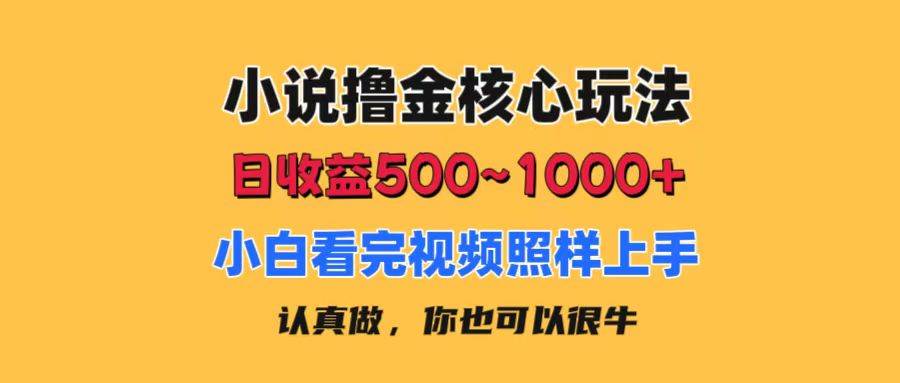 小说撸金核心玩法，日收益500-1000+，小白看完照样上手，0成本有手就行插图