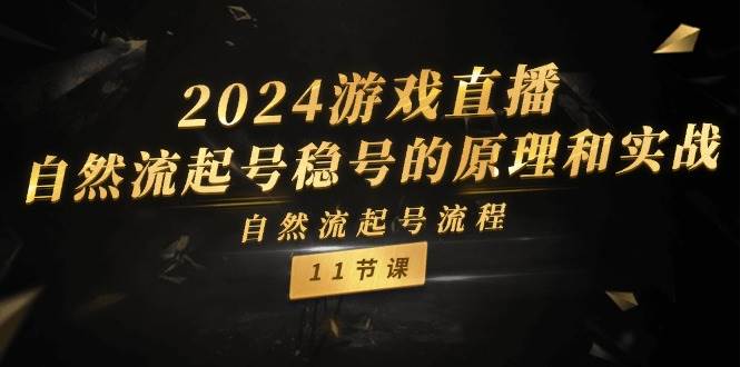 2024游戏直播-自然流起号稳号的原理和实战，自然流起号流程（11节）插图