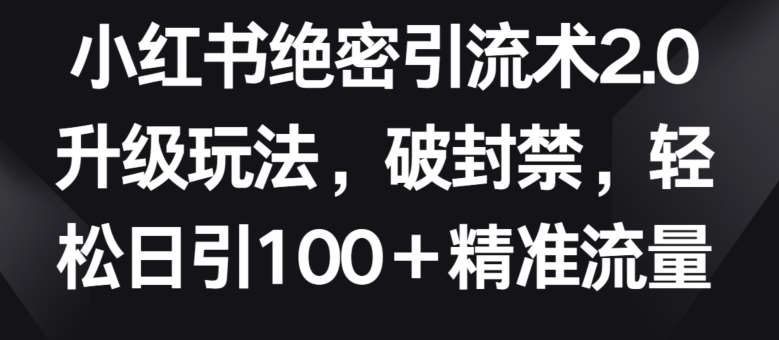 小红书绝密引流术2.0升级玩法，破封禁，轻松日引100+精准流量【揭秘】插图