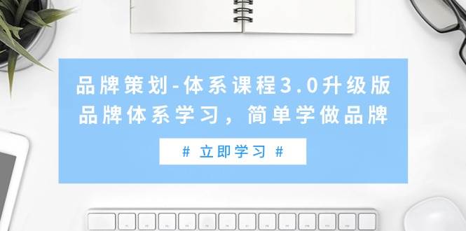 品牌策划-体系课程3.0升级版，品牌体系学习，简单学做品牌（高清无水印）插图