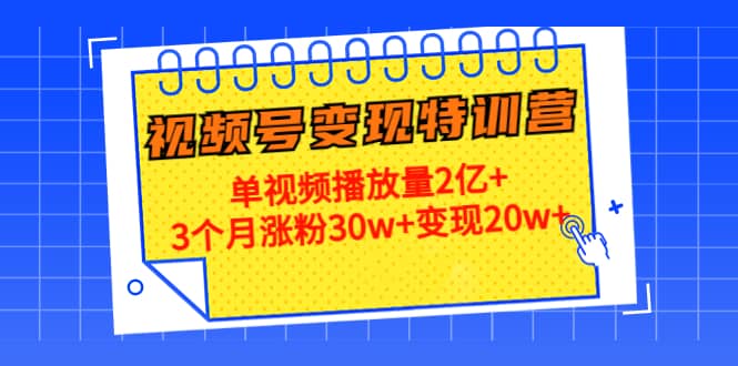 20天视频号变现特训营：单视频播放量2亿+插图