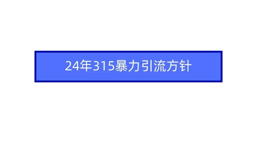 2024年315暴力引流方针插图