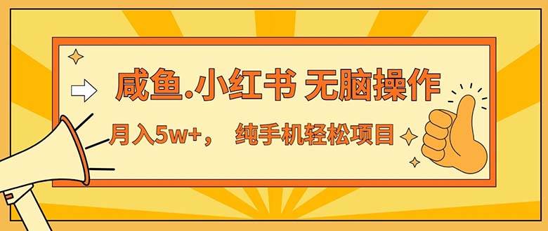 （11524期）2024最赚钱的项目，咸鱼，小红书无脑操作，每单利润500+，轻松月入5万+…插图