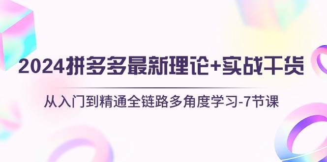 2024拼多多 最新理论+实战干货，从入门到精通全链路多角度学习-7节课插图