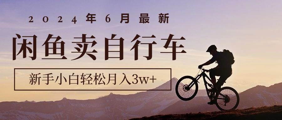 2024年6月最新闲鱼卖自行车，新手小白轻松月入3w+项目插图