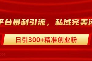 跨平台暴力引流，私域完美闭环，日引300+精准创业粉