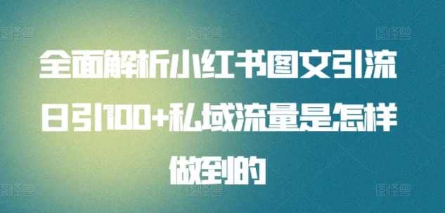 日引流100私域流量小红书图文是怎样做到的全面解析插图