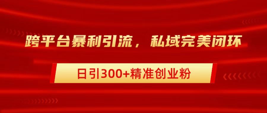 跨平台暴力引流，私域完美闭环，日引300+精准创业粉插图