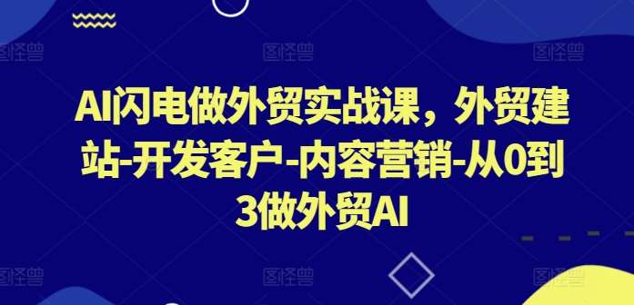 AI闪电做外贸实战课，​外贸建站-开发客户-内容营销-从0到3做外贸AI（更新）插图