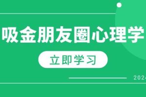 朋友圈吸金心理学：揭秘心理学原理，增加业绩，打造个人IP与行业权威