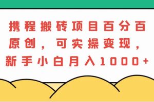 携程搬砖项目，百分百原创，可实操变现，新手小白月入1000+