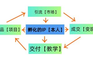 普通人如何通过知识付费“卖项目”年入“百万”，IP合伙人精品课程，黑科技暴力引流