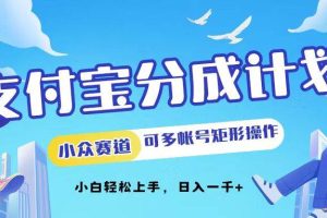 （12991期）支付宝分成计划小众赛道可多号矩形操作。小白轻松上手，日入1000