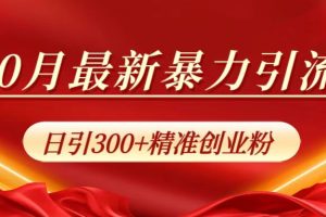 10月最新暴力引流，日引300+精准创业粉