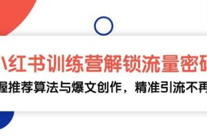 小红书训练营解锁流量密码，掌握推荐算法与爆文创作，精准引流不再难