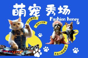 酷飒动物跳舞走秀  时尚喵FASHION汪 多金小姐姐最爱的 轻松月入破W