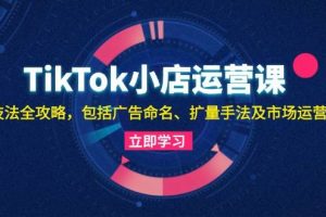 （13063期）TikTok小店运营课：投流技法全攻略，包括广告命名 扩量手法及市场运营方法