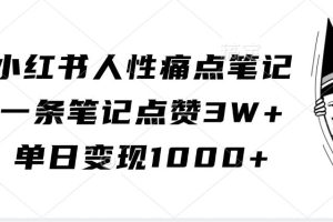 小红书人性痛点笔记，一条笔记点赞3W+，单日变现1000+