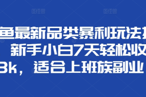 闲鱼最新品类暴利玩法揭秘，新手小白7天轻松赚3000+，适合上班族副业