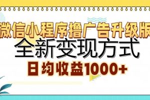 （13138期）微信小程序撸广告升级版，全新变现方式，日均收益1000+