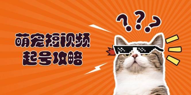 萌宠短视频起号攻略：定位搭建推流全解析，助力新手轻松打造爆款插图