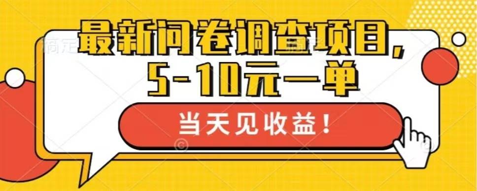 （13167期）最新问卷调查项目，单日零撸100＋插图