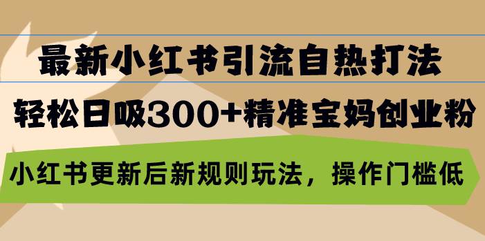 （13145期）最新小红书引流自热打法，轻松日吸300+精准宝妈创业粉，小红书更新后新…插图