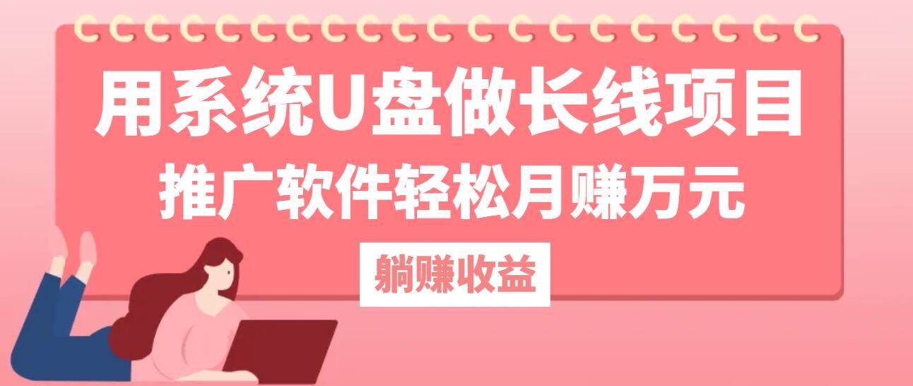 用系统U盘做长线项目，推广软件轻松月赚万元插图