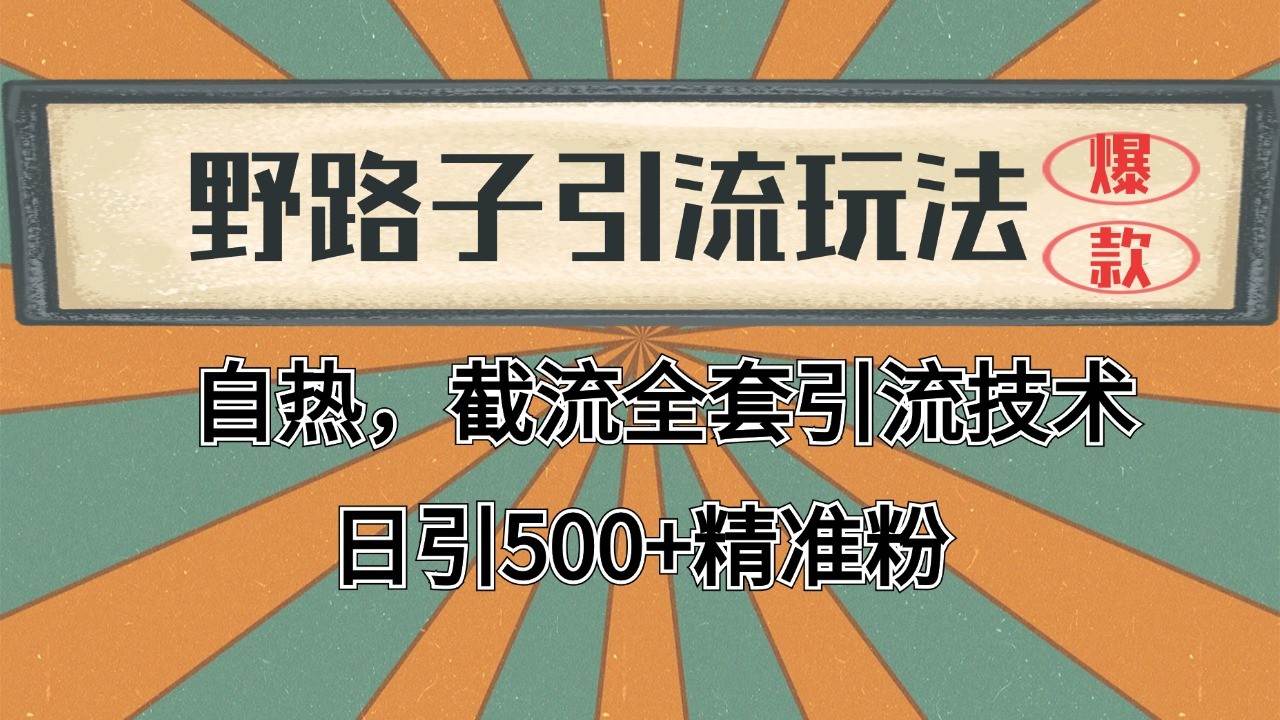 抖音小红书视频号全平台引流打法，全自动引流日引2000+精准客户插图