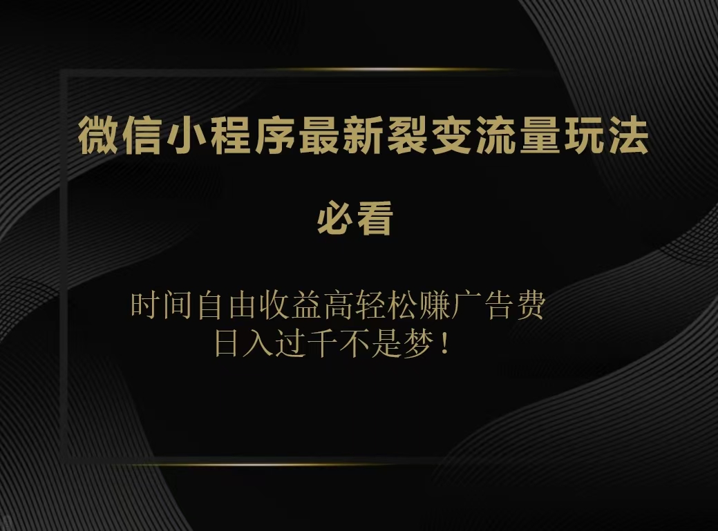 微信小程序最新裂变流量玩法，时间自由收益高轻松赚广告费，日入200-500+插图