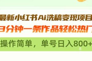 （13182期）最新小红书Ai洗稿变现项目 3分钟一条作品轻松热门 操作简单，单号日入800+