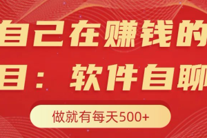 我自己在赚钱的项目，软件自聊不存在幸存者原则，做就有每天500+