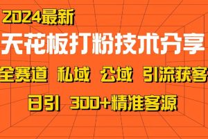 天花板打粉技术分享，野路子玩法 曝光玩法免费矩阵自热技术日引2000+精准客户