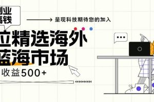 （13191期）海外全新空白市场，小白也可轻松上手，年底最后红利