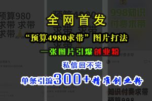 小红书“预算4980带我飞”图片打法，一张图片引爆创业粉，私信回不完，单条引流300+精准创业粉