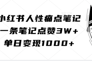 小红书人性痛点笔记，单日变现1000+，一条笔记点赞3W+