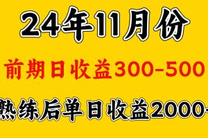 轻资产项目，前期日收益500左右，后期日收益1500-2000左右，多劳多得