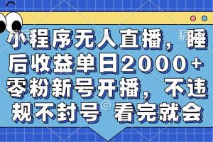 （13251期）小程序无人直播，睡后收益单日2000+ 零粉新号开播，不违规不封号 看完就会