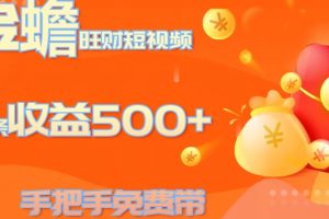 金蟾旺财短视频玩法 一条收益500+ 手把手免费带 当天可上手