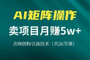 （13335期）网创IP打造课，借助AI卖项目月赚5万+，含引流技术（共26节课）