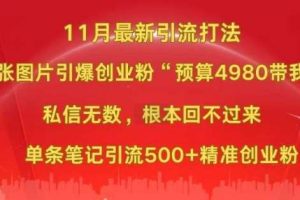 小红书11月最新图片打粉，一张图片引爆创业粉，“预算4980带我飞”，单条引流500+精准创业粉