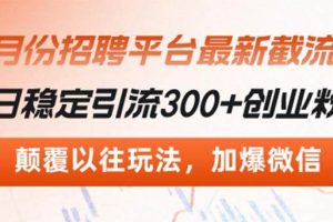 （13309期）招聘平台最新截流术，日稳定引流300+创业粉，颠覆以往玩法 加爆微信