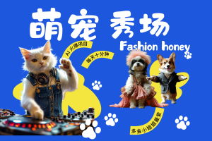 酷飒动物跳舞走秀  时尚喵FASHION汪 多金小姐姐最爱的 轻松月入破万