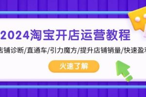 （13300期）2024淘宝开店运营教程：店铺诊断/直通车/引力魔方/提升店铺销量/快速盈利