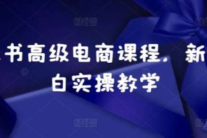 小红书高级电商课程，新手小白实操教学