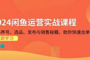 （13290期）2024闲鱼运营实战课程：揭秘养号、选品、发布与销售秘籍，助你快速出单