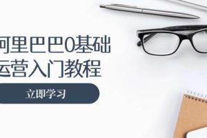 （13291期）阿里巴巴运营零基础入门教程：涵盖开店、运营、推广，快速成为电商高手