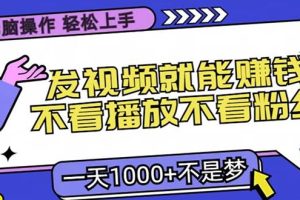 （13283期）无脑操作，只要发视频就能赚钱？不看播放不看粉丝，小白轻松上手，一天…